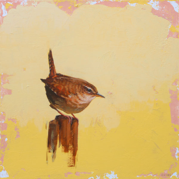 Wren Study