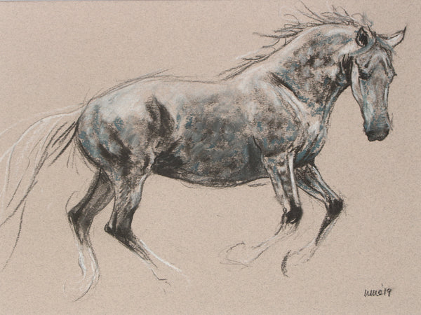 Horse Drawn Challenge 13