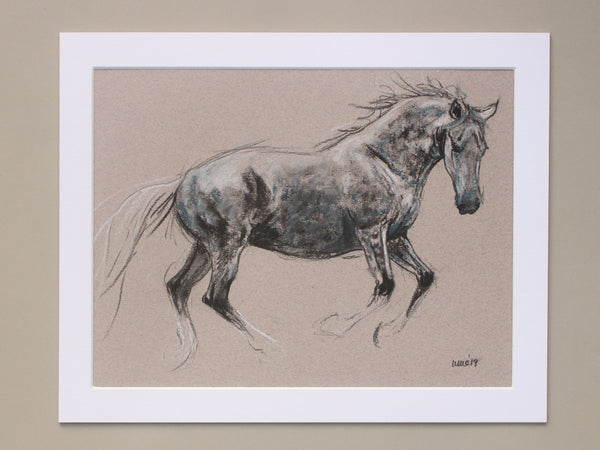 Horse Drawn Challenge 13