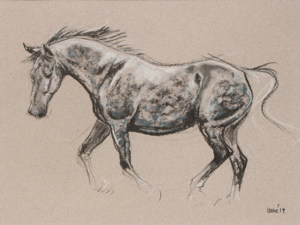 Horse Drawn Challenge 14