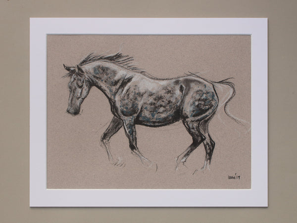 Horse Drawn Challenge 14