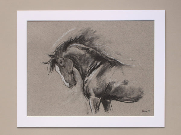 Horse Drawn Challenge 16