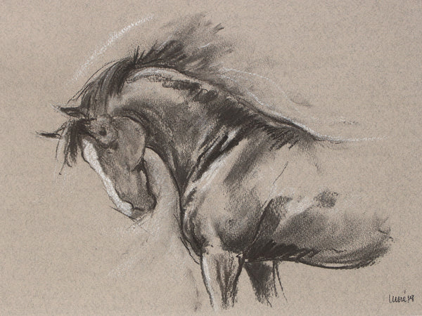 Horse Drawn Challenge 16