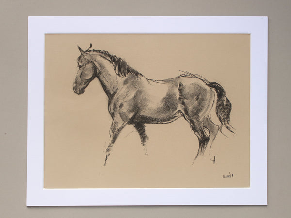 Horse Drawn Challenge 1