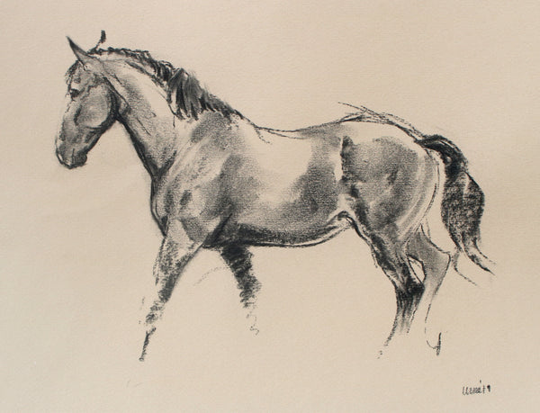 Horse Drawn Challenge 1