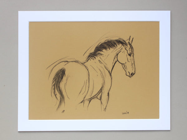 Horse Drawn Challenge 2