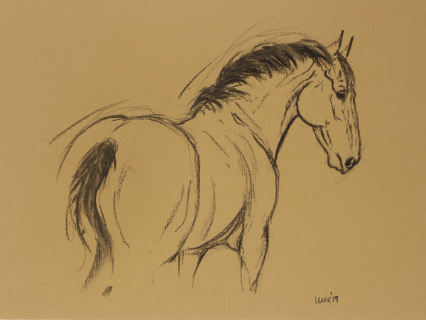 Horse Drawn Challenge 2