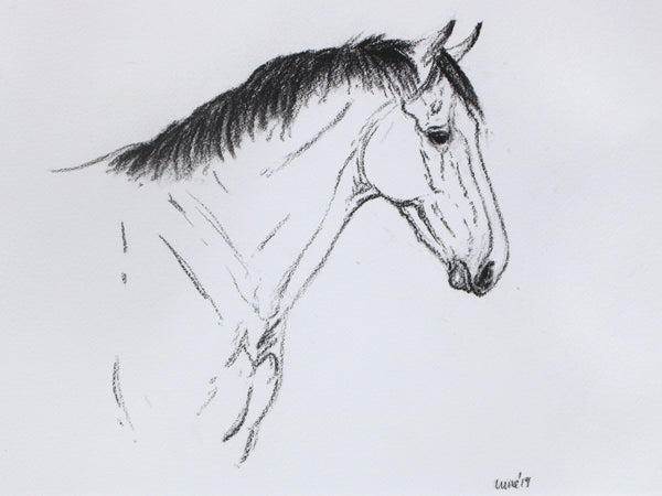 Horse Drawn Challenge 33