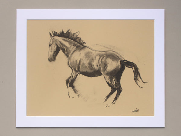 Horse Drawn Challenge 34