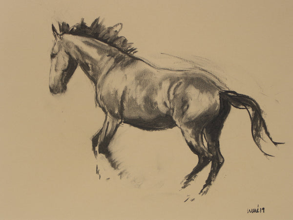 Horse Drawn Challenge 34