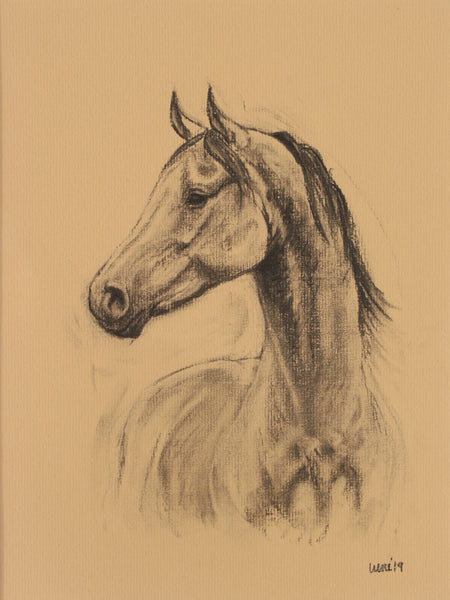 Horse Drawn Challenge 37