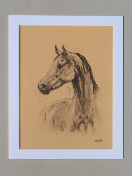 Horse Drawn Challenge 37