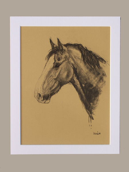 Horse Drawn Challenge 38