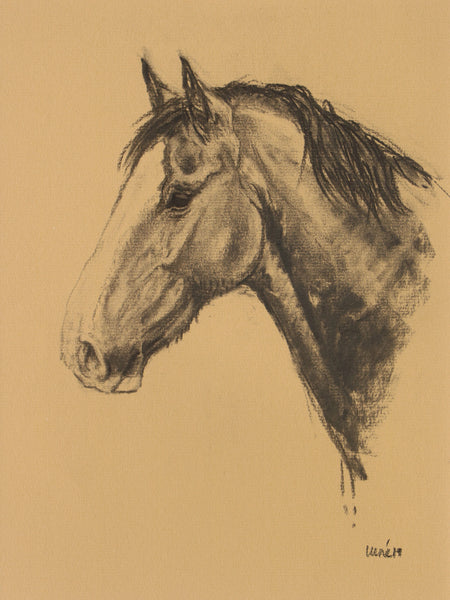 Horse Drawn Challenge 38