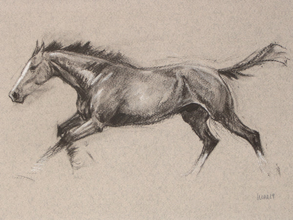 Horse Drawn Challenge 42