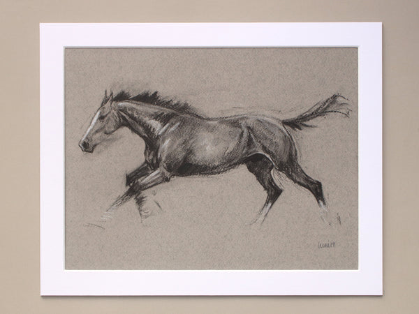 Horse Drawn Challenge 42