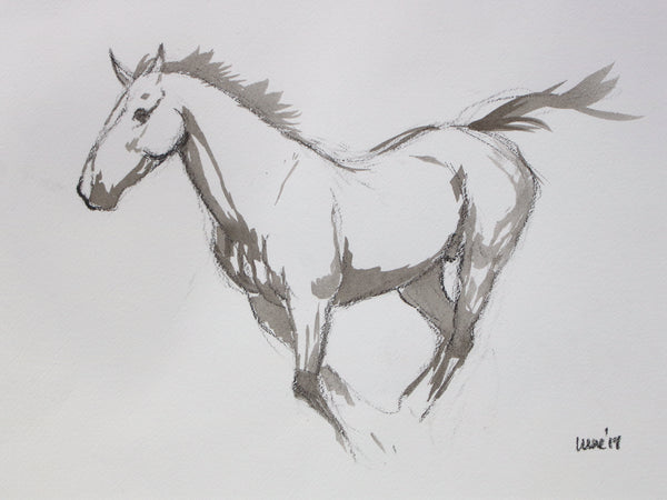 Horse Drawn Challenge 46