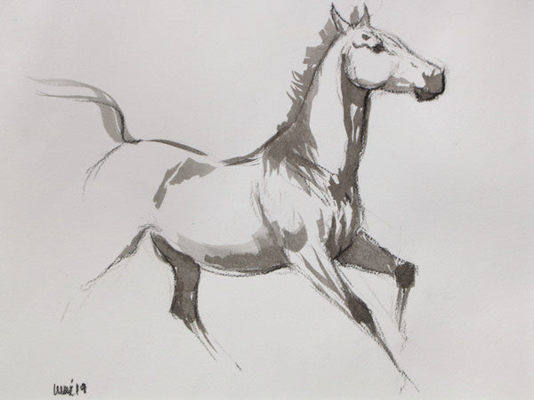 Horse Drawn Challenge 50