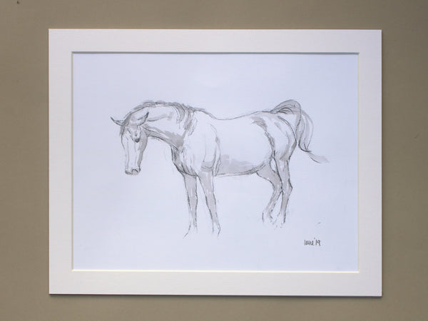 Horse Drawn Challenge 53