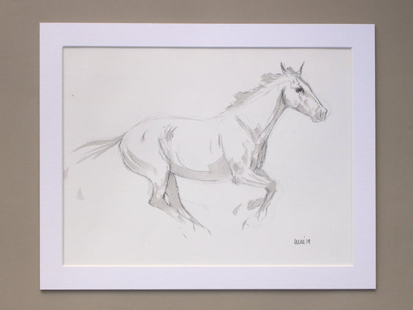 Horse Drawn Challenge 55