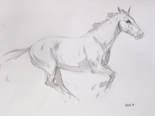 Horse Drawn Challenge 55