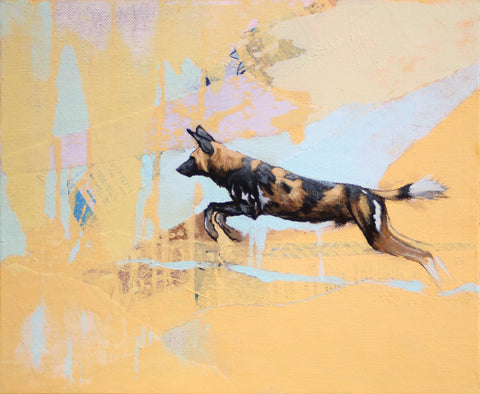 56/66 - Leaping African Painted Dog