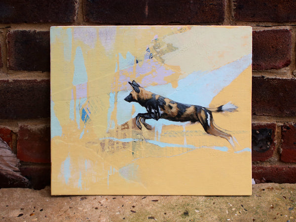 56/66 - Leaping African Painted Dog