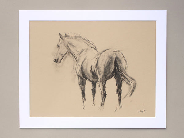 Horse Drawn Challenge 59