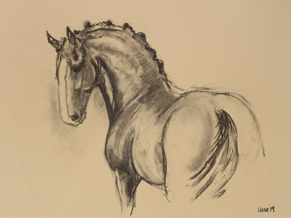 Horse Drawn Challenge 61