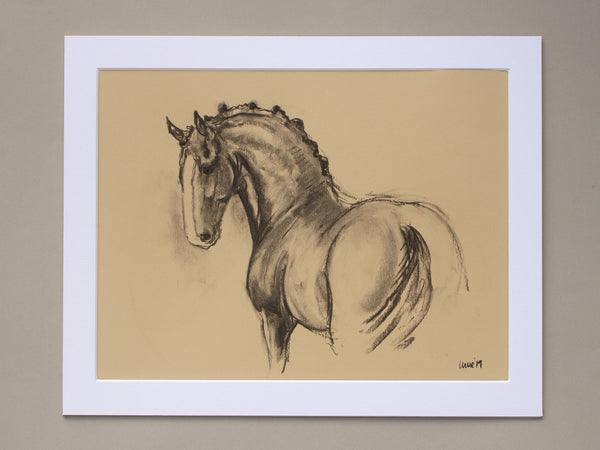 Horse Drawn Challenge 61