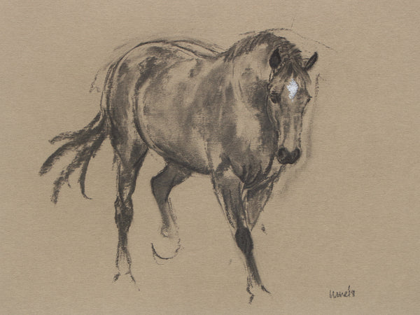 Horse Drawn Challenge 70