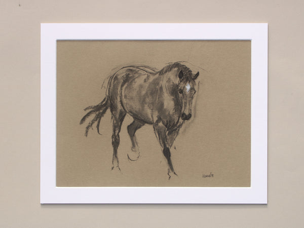 Horse Drawn Challenge 70