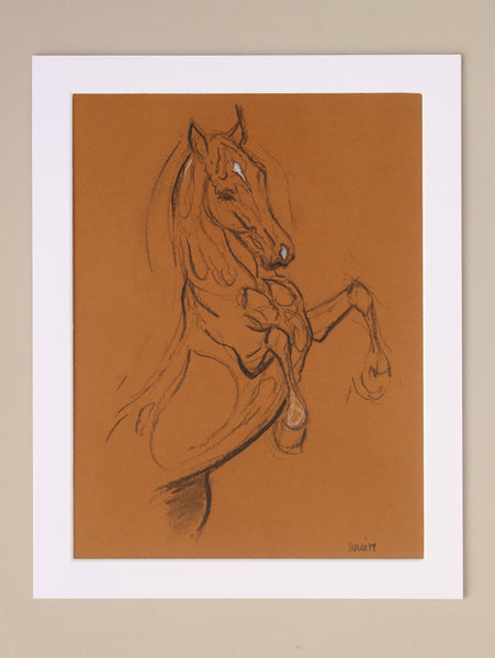 Horse Drawn Challenge 72