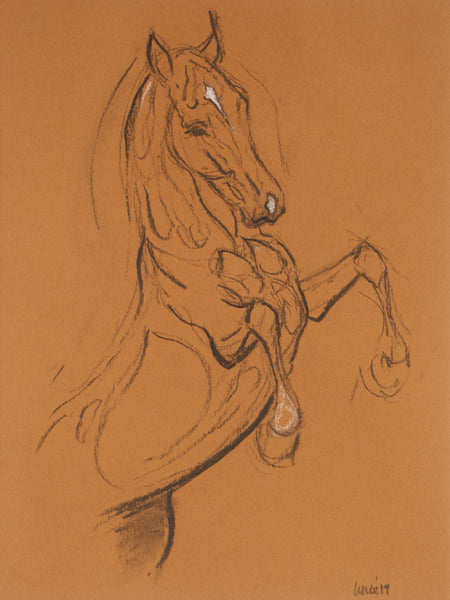 Horse Drawn Challenge 72