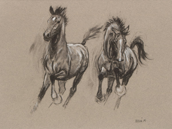 Horse Drawn Challenge 73