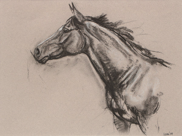 Horse Drawn Challenge 75