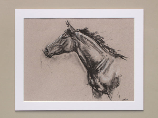 Horse Drawn Challenge 75