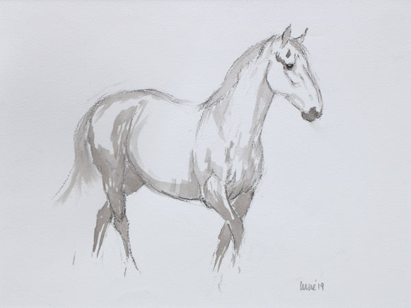 Horse Drawn Challenge 77