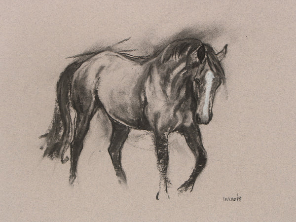 Horse Drawn Challenge 79