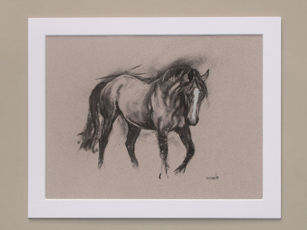 Horse Drawn Challenge 79