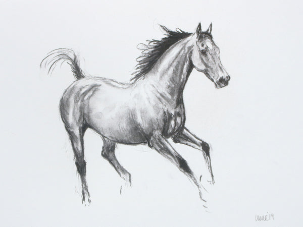 Horse Drawn Challenge 80