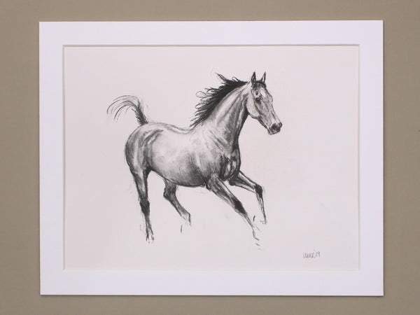 Horse Drawn Challenge 80