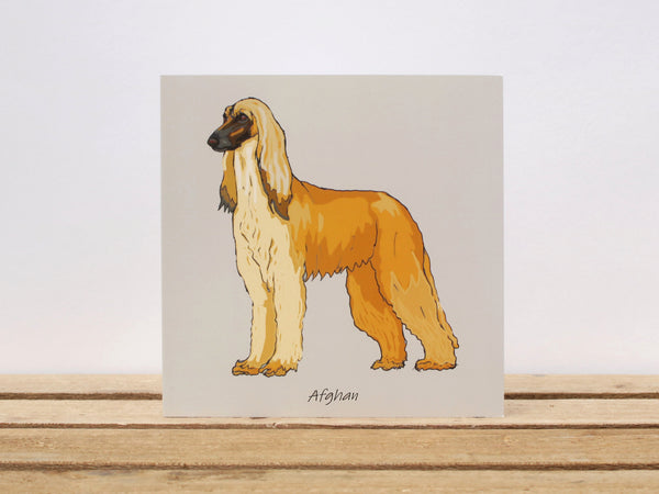 Afghan Hound Dog Card