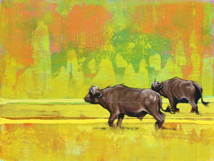 The Crossing - African Buffalo