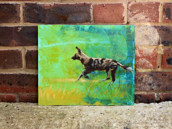 57/66 - Backlit running African Painted Dog