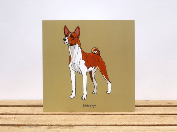 Basenji Dog Card