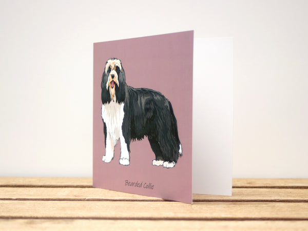 Bearded Collie Dog Card