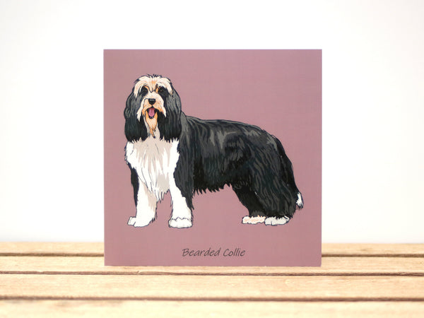 Bearded Collie Dog Card