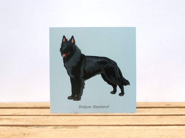 Belgian Shepherd Dog Card