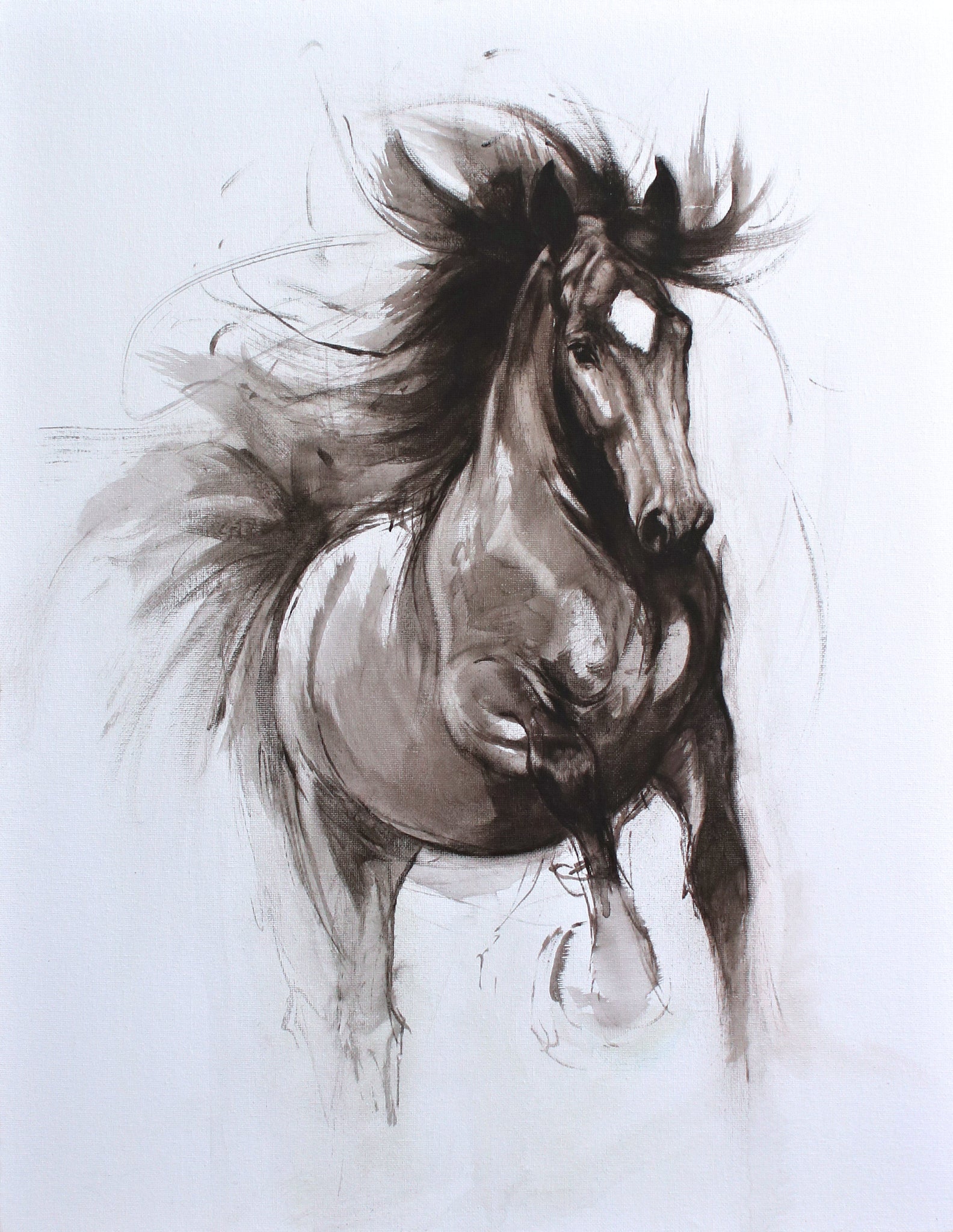 15/100 Bold black and white horse art